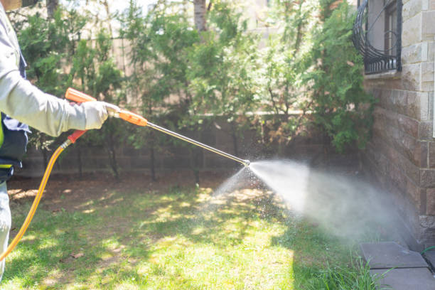 Best Best Pest Control Companies  in Raton, NM