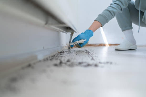 Best Residential Pest Control  in Raton, NM